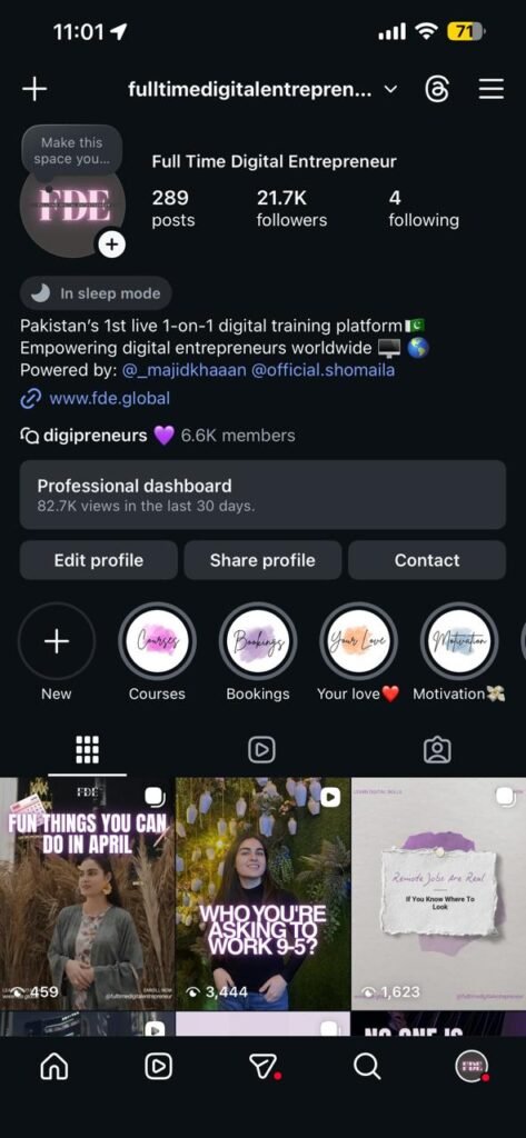 @fulltimedigitalentrepreneur profile screenshot
